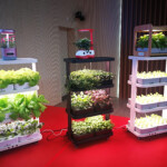 3 Tier Vertical Farming Led Plant Light Kitchen Plant Growing Indoor