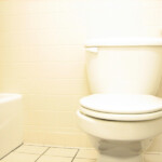 Common Problems With Low Flow Toilets Networx