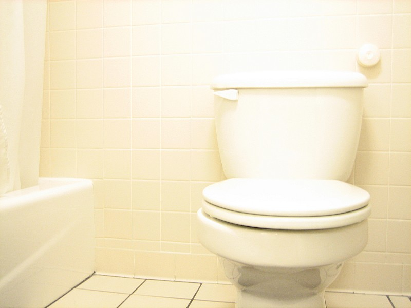 Common Problems With Low Flow Toilets Networx