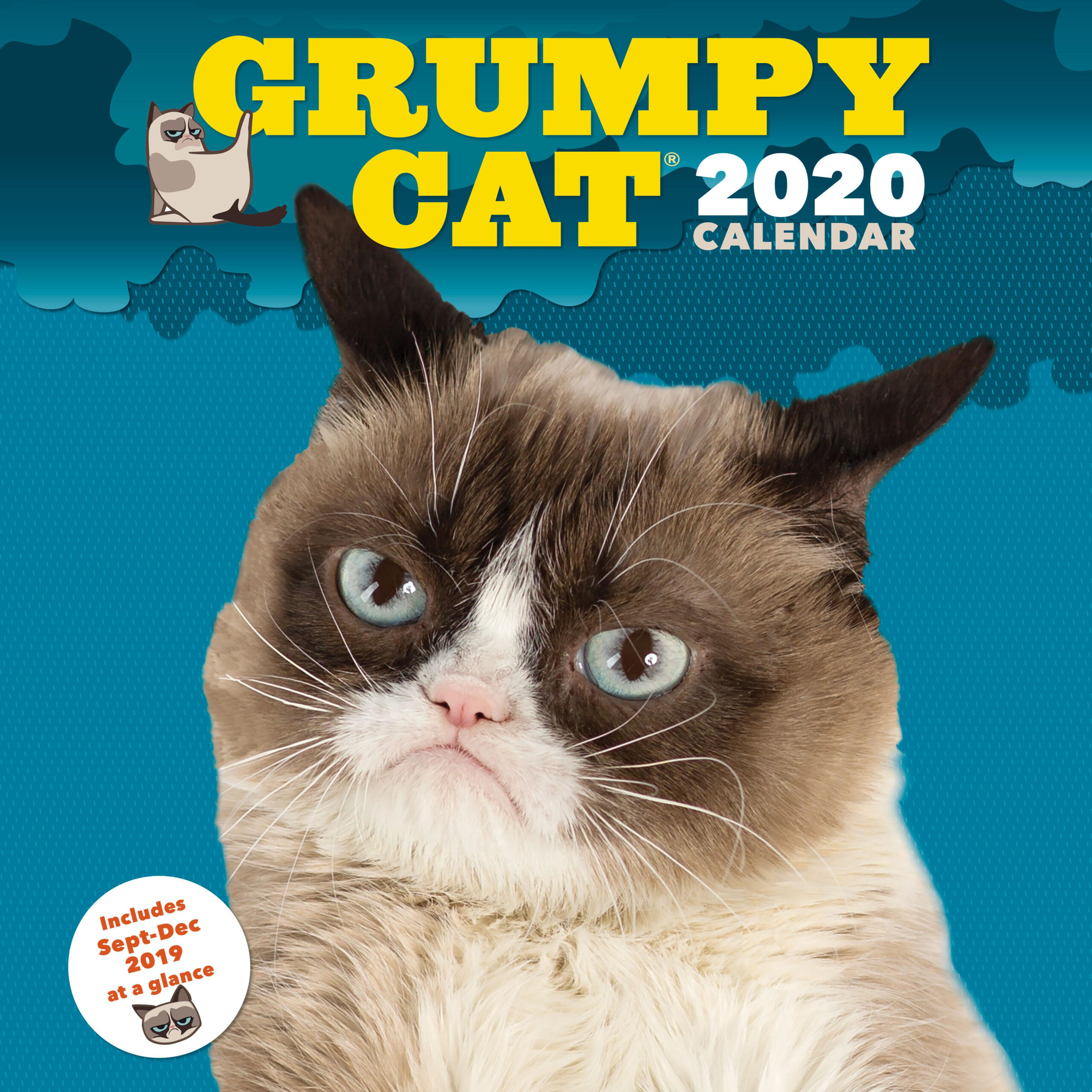 Grumpy Cat 2020 Wall Calendar funny Gag Gift Yearly Calendar Cat