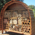 How To Build Bee Hotels To Save The Native Bees Near You