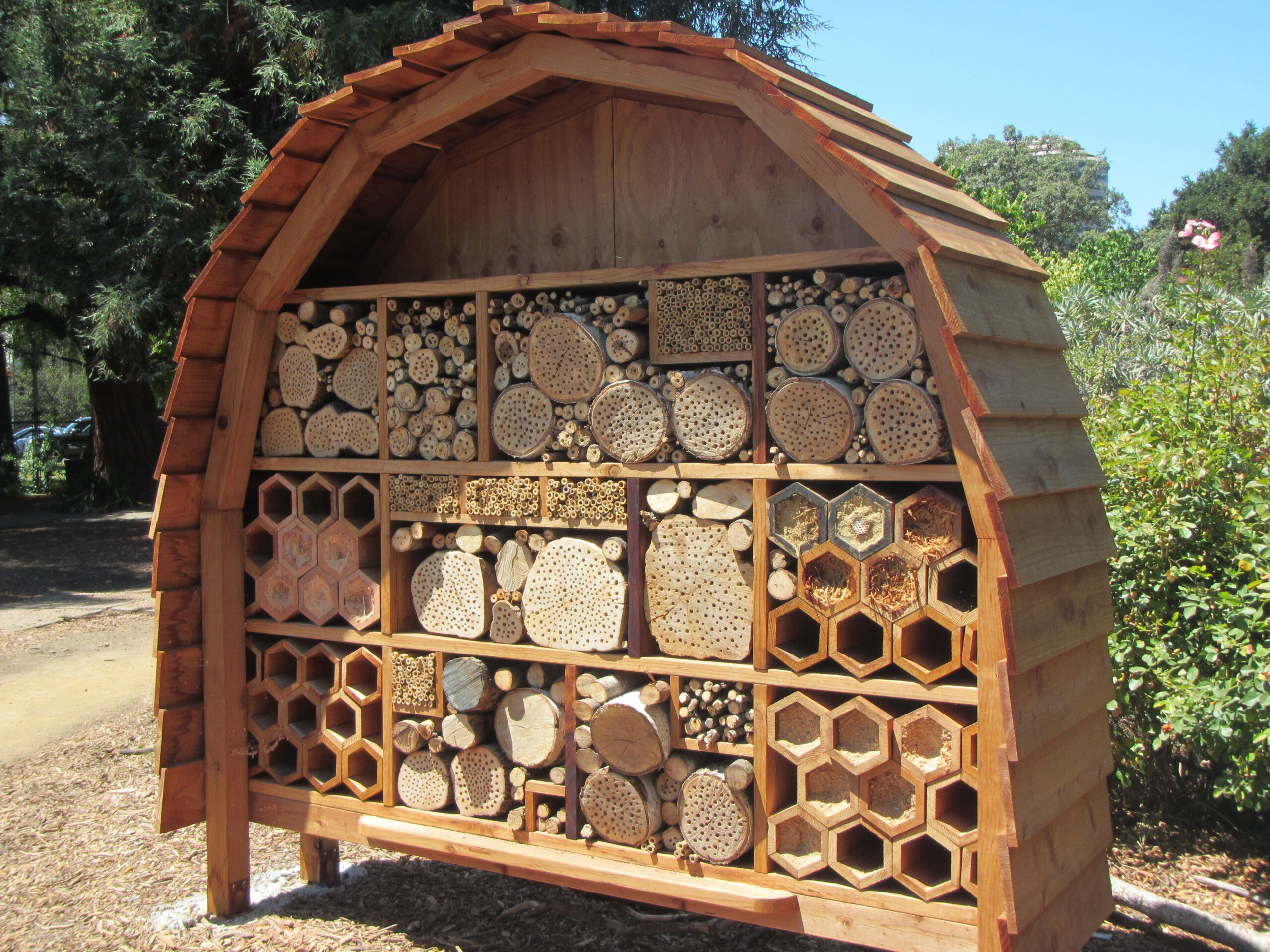 How To Build Bee Hotels To Save The Native Bees Near You