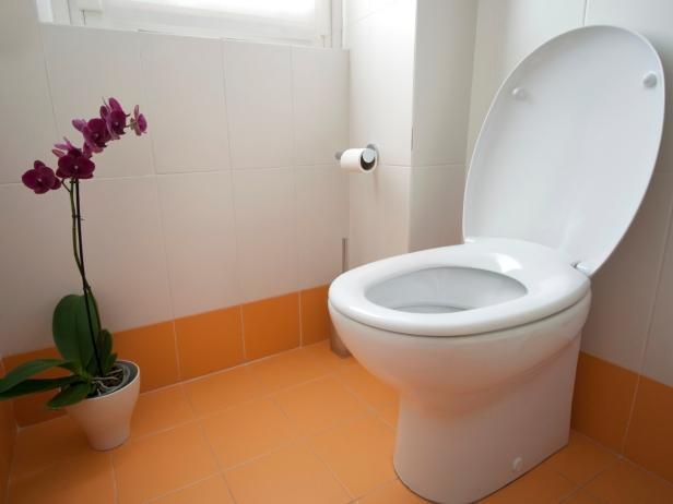 How To Replace A Toilet And Connect The Water Lines Toilet 