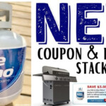 NEW Blue Rhino Stack Coupon Rebate Moola Saving Mom