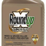 Roundup Extended Control Weed Grass Killer Concentrate 16 Oz At