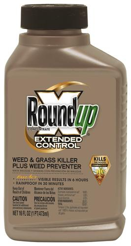 Roundup Extended Control Weed Grass Killer Concentrate 16 Oz At 