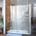 Shop DreamLine 59 in Frameless Hinged Shower Door At Lowes