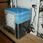 Side View Of Sump Setup Aquarium Sump Freshwater Sump Diy Aquarium