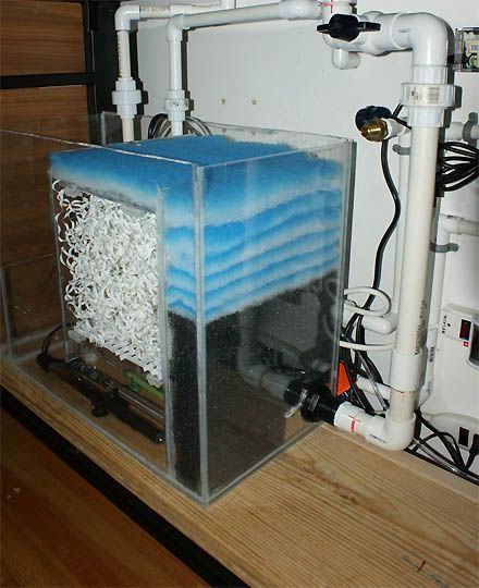 Side View Of Sump Setup Aquarium Sump Freshwater Sump Diy Aquarium 