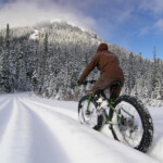 Snow Free Stock Photos Pictures In Stitches