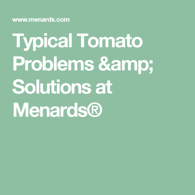 Typical Tomato Problems Solutions At Menards Tomato Problems 