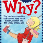 Why The Best Ever Question And Answer Book Picture Book Depot